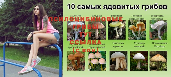 герыч Инта