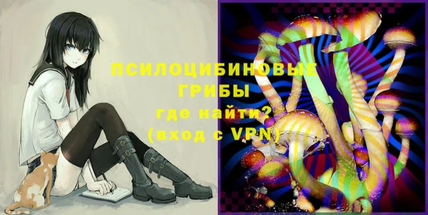 герыч Инта