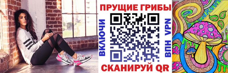 Псилоцибиновые грибы прущие грибы  Купить  Оса 